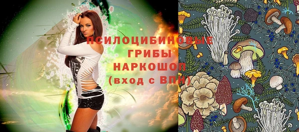 хмурый Лагань
