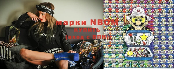 гидра Абаза