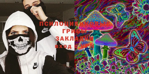 гидра Абаза