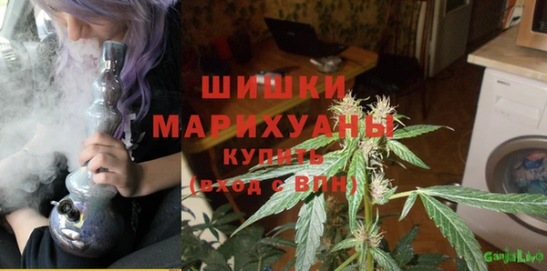 гидра Абаза