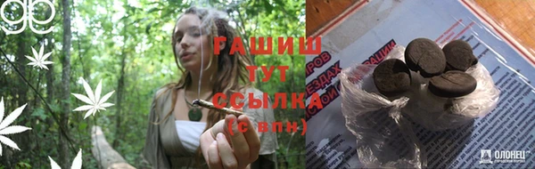 гидра Абаза