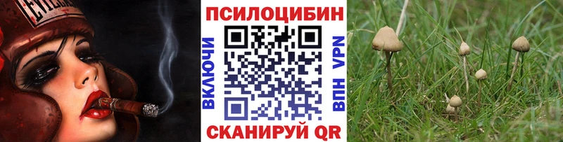 kraken ONION  продажа наркотиков  Юхнов  Галлюциногенные грибы Magic Shrooms 